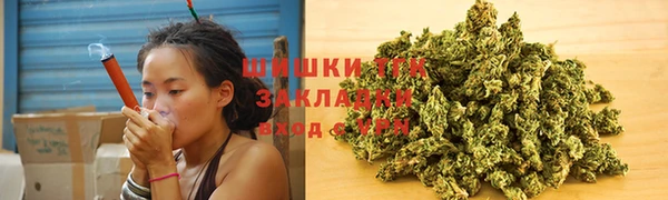 МДПВ Богородицк