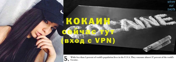 соль ск Богородск
