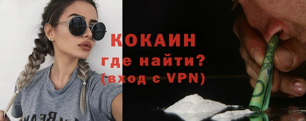 шишки Белоозёрский