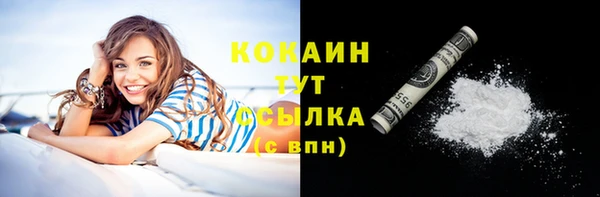 соль ск Богородск