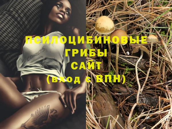 MESCALINE Богданович